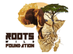Roots Wild Foundation