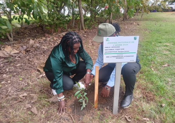 Participation aux Journées Nationales de l'Arbre